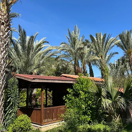Hotel Azur Cirali