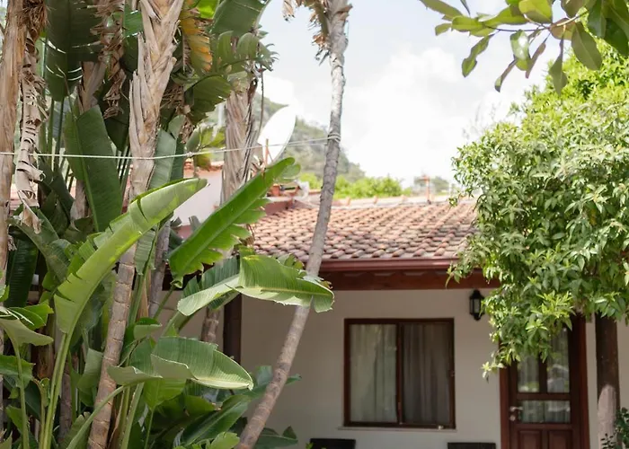 Azur Ξενοδοχείο 3*