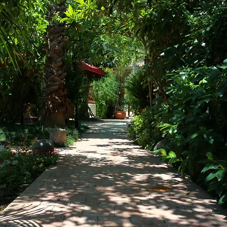 Azur Hotel 3*